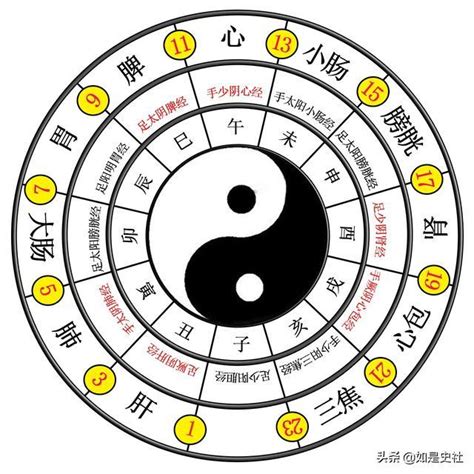 說八卦|易經入門：太極、兩儀、四象、八卦是什麼意思？